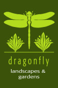 Dragonfly Landscapes & Gardens